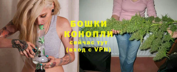 альфа пвп Заводоуковск