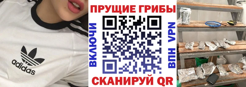Галлюциногенные грибы Cubensis  даркнет сайт  Урай 